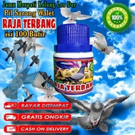 JAMU MERPATI RAJA TERBANG isi 100 pil hitam tinggi pukul pil stut dor pil stut kencang jamu merpati 