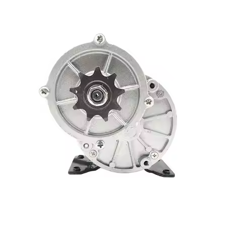 12V 24V 250W MY1016Z2 Gear Motor Brush Motor Electric DC Gear Brushed Motor Electric Motor Permanent