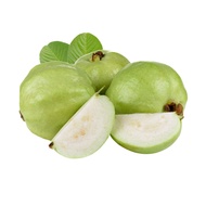Fresh Fruits - [KLANG VALLEY] Jambu batu / Guava Seedless 1kg
