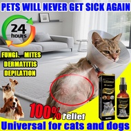 One spray to solve skin problems Pet Antimicrobial Spray Not afraid of licking dog wound spray dog i