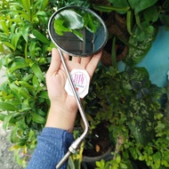 Rearview mirror part honda c50 c70 c90 potty gareng long thread original made in japan