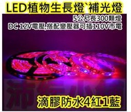 15顆燈25cm長起 4紅1藍 LED植物生長燈【沛紜小鋪】LED植物燈 LED園藝燈 LED植物補光燈 LED軟條燈帶