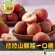 【最愛新鮮】拉拉山鮮採一口桃1箱(1.2kg±4.5%/箱)
