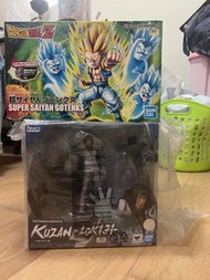 海賊王 單車佬 青雉 figuarts zero 龍珠 撒亞人 拼裝模型日版