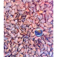 Hat Dua Vietnam Melon Seeds 100gr