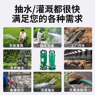 Pam Air Rendam Bercat Minglei Tersuai untuk Pengepam Air Isi Rumah, Pengepam Air Telaga, Pengepam Ai