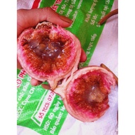 Combo of 3 fig trees