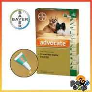 Advocate DOG Small 1 Pipette S- Advocate DOG Weight 0-4 kg Bayer Flea Medicine