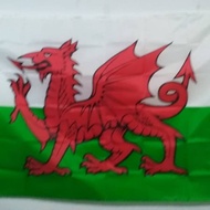 Wales national flag