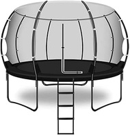 YFFSS Trampoline with Safety Enclosure Net, Spring Pad, Ladder, Combo Bounce Jump Trampoline, Outdoor Trampoline for Kids, Adults
