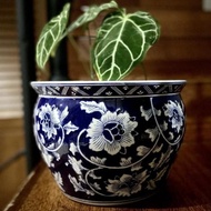 Pot Bunga Keramik Cina Biru Dongker Bulat Tebal Besar Size No 1