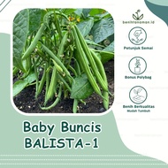 5 Biji - Benih Baby Buncis Balista-1  Buncis Perdu(tidak merambat)