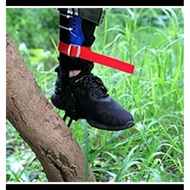 Tree climbing spike practical Tree climbing tool
