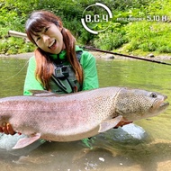 STOCK AVAIABLE FISHMAN BC4 5.10H Fishing rod (Joran BC4 5.10H Janama Fishman)