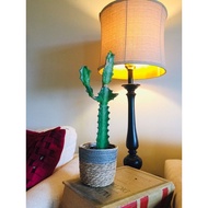 Cactus Euphorbia lactea / Dragon Bone Spurge