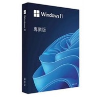 WINDOWS 11 Pro Edition