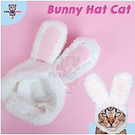 Bunny Hat Cat Hat