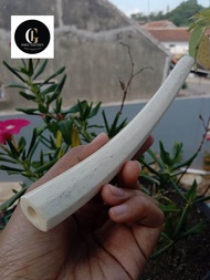 once pipa rokok tulang iga duyung segi delapan IL 17