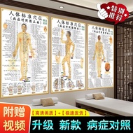 Human Body Standards and Disease Comparison Charts Posters Wall Paintings Press Wall Charts Whole Bo