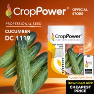 (10 GRAM) Biji Benih Timun DC1119 CROP POWER F1 Hybrid Cucumber Seeds 黄瓜种子 DC 1119