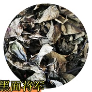 黑面将军 black general leaves