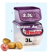 Tupperware Garlic N All Keeper 2.3L&3L