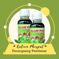 Kalium Phospat Cair Pupuk Kalium Phospate Kalium Phospat Perangsang Umbi dan Buah 500 ML