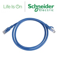 Schneider DC6PCURJ02BLM Digilink Cat6 Patch Cord UTP 2 meter Blue