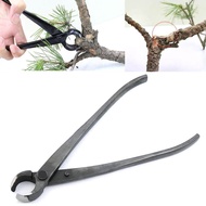 ถั่วพืชมืออาชีพมีดตัดกิ่งรอบขอบBonsai Treeคีมตัดแต่งเครื่องมือทำสวน