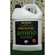 Bio Xplus  BACILLUS PLUS+ dengan tambahan AMINO (Perawat Kulat Secara Organik) 5 Liter