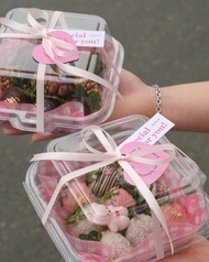 50 cái hộp bento vuông nhựa trong CH805 dùng để đựng bánh các loại