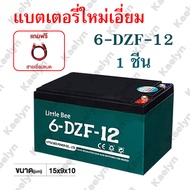 แบตเตอรี่สามล้อไฟฟ้า แบตเตอรี่ตะกั่วแห้ง แบตเตอรี่ 6-DZF-20 Battery สำหรับรถสามล้อไฟฟ้า แบตเตอรี่ตะก