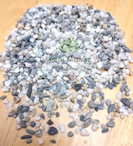 Pebbles for Bonsai, Succulents and Cactus - 1kilo per pack