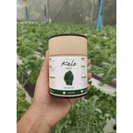 Kale powder 1