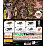 [Bandai] Kuwagata Stag Beetle 10 Mini Figure Beetle Japanese Capsule Toy-Gashapon Gachapon