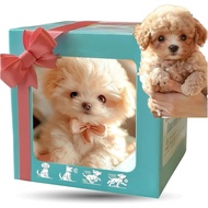 Anjing Robot Baharu EJV 2025, Anjing Robot Ai Dewasa, Anak Anjing Robot Realistik Saya untuk Dewasa,