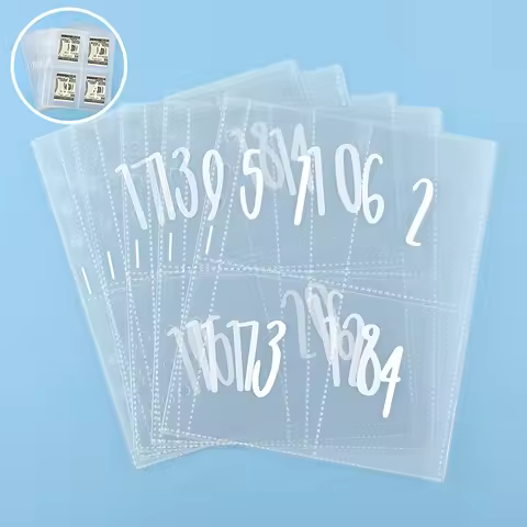 25 Sheets Of 100 Envelopes Save Money Challenge Pre-marked 1-100 Money Bag Cash Filler A5 Ring Adhes