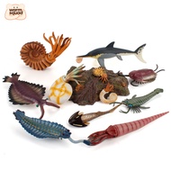 Ancient Marine Life Model Toy for Kids- Educational Realistic Solid Animal Ornament Set (Ammonite/Sh