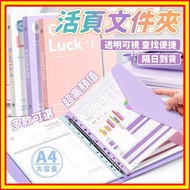 Next Day Arrive At The Store Binder Folder Transparent Information Book Test Paper Pregnancy Inspect