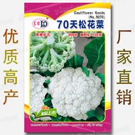 Ready Stock Fast Shipping 70 Days Pine Cauliflower Seeds about 350 Grains Cauliflower Seeds Cauliflo