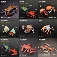 Children Simulation Animal Toy Model Crab Hermit Crab Shuttle Crab Spider Crab King Crab Steamed Bun