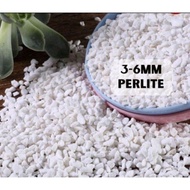 Perlite (2L) 3-6mm For Cactus & Succulents (Natural Expanded) (REPACK 200g)