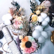 彩虹擴香盆栽 香氛盆栽 辦公室小物 擴香盆栽 索拉花 可滴精油