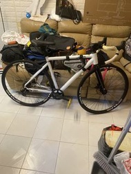 JAVA Road Bike - White, R2 Components