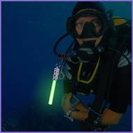 Dive Lights Scuba Diving Waterproof Underwater Light with Clip 2 Modes LED Light Stick Dive Light Co