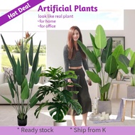 🔥Ready Stock🔥 Artificial Plants Tree Skybird Banana Tree Monsterae Pokok Pisang Tiruan Palsu Hiasan 