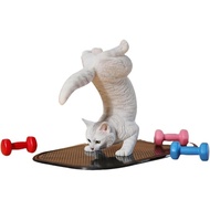 Undisclosed G 1/6 Animal Doll Yoga Cat 2.0 B Agent