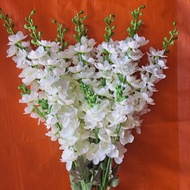 10 double Phi Yen branches for decor