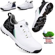 Footjoy EXL BOA golf shoes