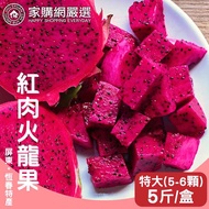 【家購網嚴選】屏東紅肉火龍果 5斤x4盒 特大(約5-6顆/盒)
